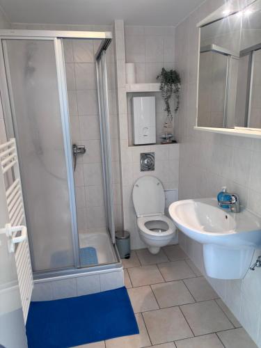 a bathroom with a shower and a toilet and a sink at Strandkorb 115 in Rostock