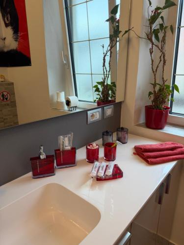 a bathroom counter with a sink and a mirror at Casa CLEO in Domodossola