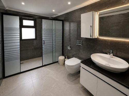 a bathroom with a sink and a toilet and a shower at Taşhan Apart Otel in Didim