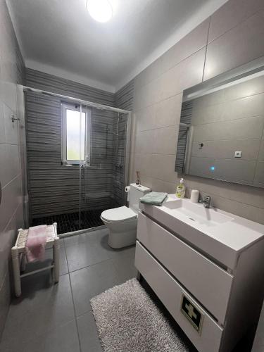 a bathroom with a sink and a toilet and a mirror at Casa do Cabeço in Proença-a-Nova