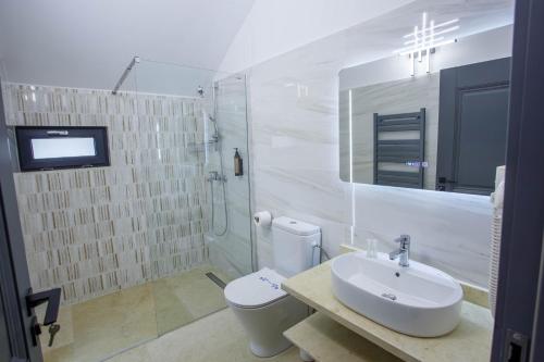 a bathroom with a sink and a toilet and a mirror at Danube Delta Bungalows Gorgova in Gorgova