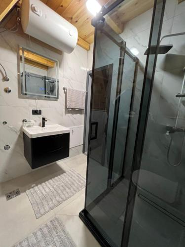 a bathroom with a glass shower and a sink at LakeSideCottage in Plav