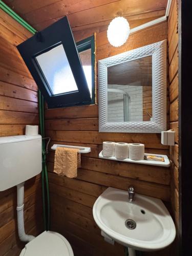 a bathroom with a sink and a mirror and a toilet at Florea Cottage in Ulcinj