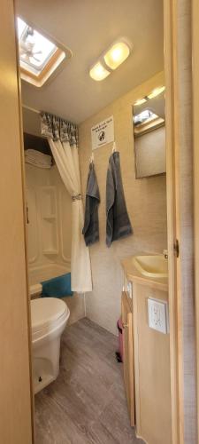 a small bathroom with a toilet and a sink at RV with Rocky Mountains View in McBride