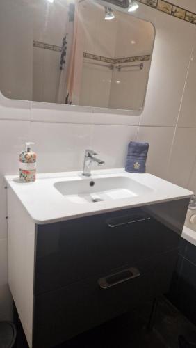 a bathroom with a white sink and a mirror at Les Hautains in Saint-Genis-Pouilly