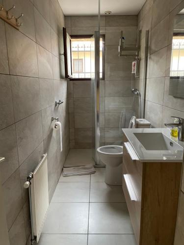 a bathroom with a sink and a toilet at DYNAMIQUE ET SPLENDIDE in Bourgoin