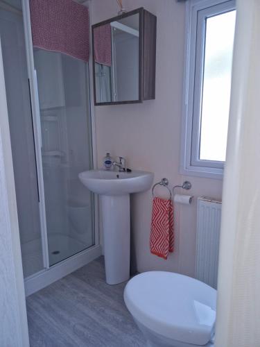 a bathroom with a sink and a toilet and a shower at Ascot at Lochlands in Forfar