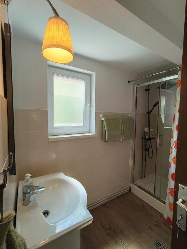 a bathroom with a sink and a window and a shower at Dodo Land in Săcel