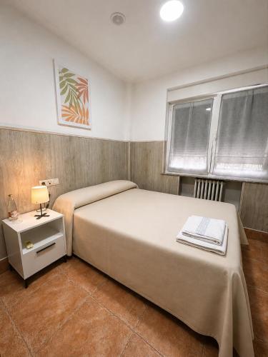 a bedroom with a large bed and a window at Agarimo in Trapagaran