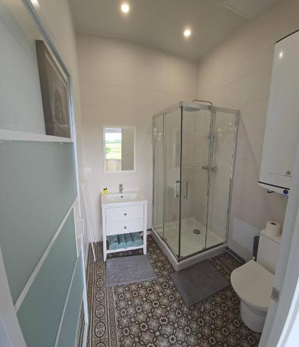 a bathroom with a shower and a toilet and a sink at Gite La Ferme du Château in Cerfontaine