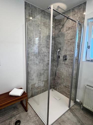 a shower with a glass door in a bathroom at Besilima Apartments Deidesheim - zentral & ruhig am Kurpark in Deidesheim