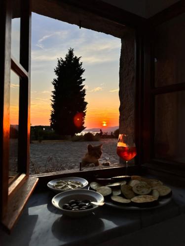 a table with plates of food and a cat looking out a window at Manor Pastrovici in Budva