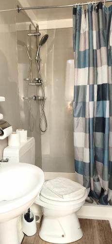a bathroom with a toilet and a shower curtain at Hôtel Duchesse Anne in Lourdes