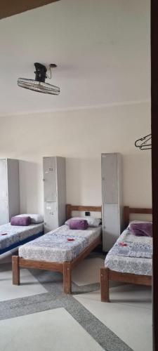 a room with three beds with purple pillows at Casarão do DU in Campinas