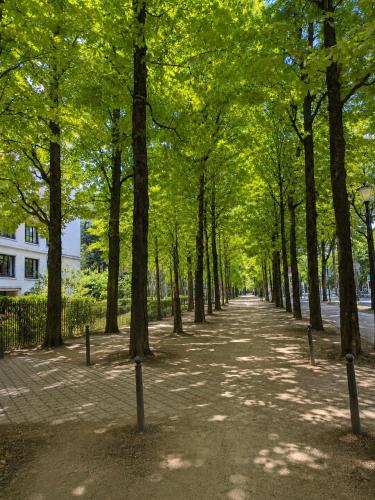 Elégant appartement Paris 16 - proche Bois de Boulogne & Roland-Garros - 6 personnes