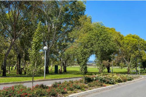 a road in a park with trees and flowers at Park side on East Terrace in Adelaide