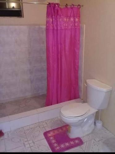 a bathroom with a pink shower curtain and a toilet at Smithy's Apartment 1 in Brighton Village