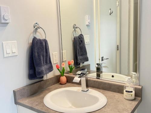 a bathroom with a sink and a mirror at Lakeside Home on Second Floor in Langford