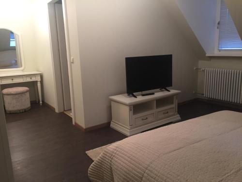 TV a/nebo společenská místnost v ubytování Villa Luttwitz