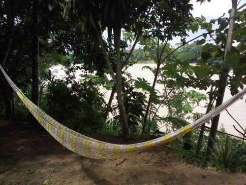 a hammock hanging from a tree next to a river at Tambopata River in Puerto Maldonado