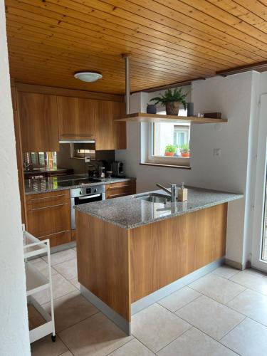 a kitchen with wooden cabinets and a counter top at Rückzugsort in Reichenbach