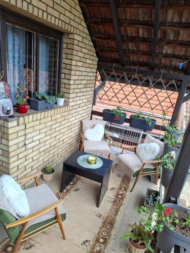 a patio with chairs and a table and potted plants at Stan na dan Filipović in Čačak