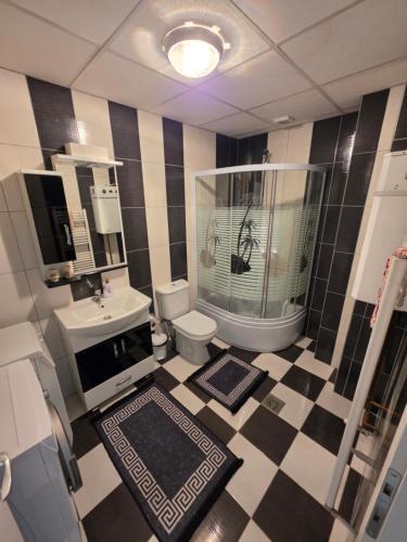 a bathroom with a shower and a toilet and a sink at Struga Alpha House in Struga