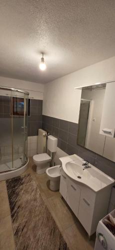 a bathroom with two toilets and a sink and a shower at Zlata Apartment in Fužine