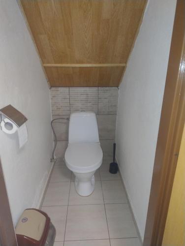 a small bathroom with a toilet with a wooden ceiling at Ubytování U Jindřicha ll in Weissbach