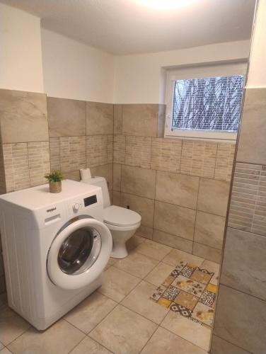 a bathroom with a toilet and a window at Ubytování U Jindřicha ll in Weissbach