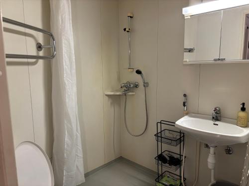 a bathroom with a shower and a sink at Cozy Apartment with Private Sauna in Vaasa