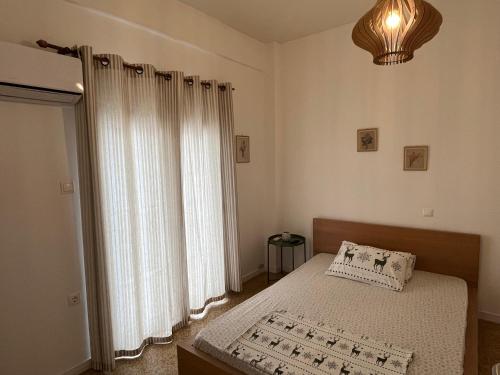 Central -II- Apartment