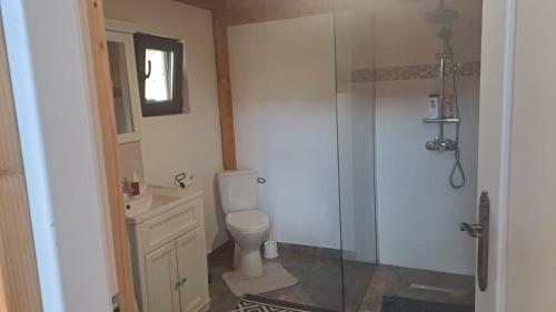 a bathroom with a toilet and a glass shower at Cabana Laura in Tîrnăveni