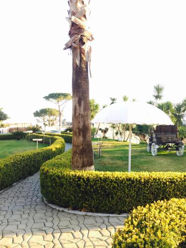a palm tree and an umbrella in a park at Zia Bi Bed and Breakfast in Naples
