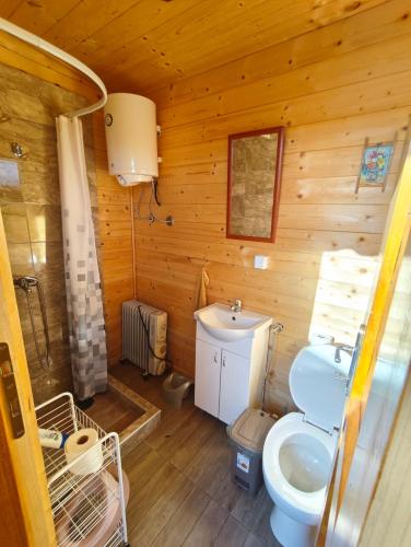 a bathroom with a blue toilet and a sink at Duva jurta in Bistrica