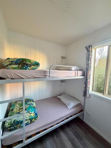 two bunk beds in a small room with a window at Holbrook Motor Village in Holbrook