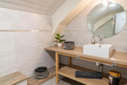 a bathroom with a sink and a mirror at Gîte de marthe in Sainte-Colombe-de-Peyre