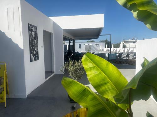 Family House Faliraki Studios Apartments
