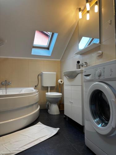 a bathroom with a toilet and a washing machine at Cozy Corner Apartments in Bistriţa