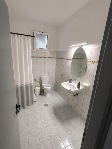 a bathroom with a toilet and a sink and a mirror at Oceanica k rooms in Loutsa