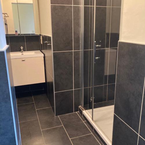 a bathroom with a shower and a sink at De tuin van Agatha in Kortessem