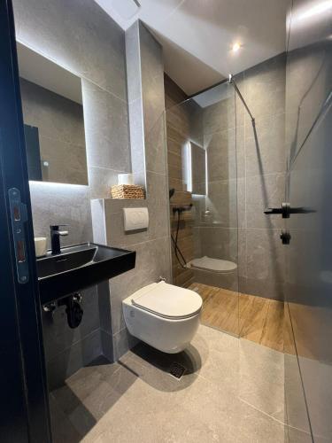 a bathroom with a toilet and a sink and a shower at Kucica na Brdu in Brda