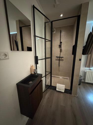 a bathroom with a shower with a sink and a mirror at Hotel Hortus in Amsterdam