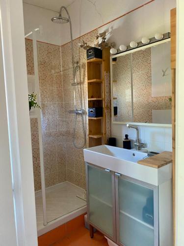 ein Badezimmer mit Waschbecken und Dusche in der Unterkunft Duplex studio Moulleau proche plage avec chambre en mezzanine in Arcachon