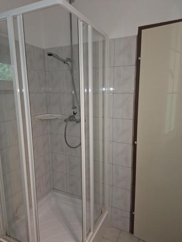 a shower with a glass door in a bathroom at Gergócs Vendégház in Őriszentpéter