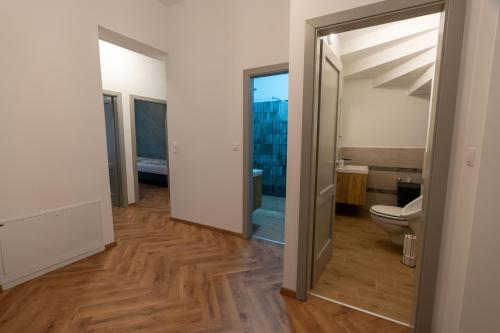 an open bathroom with a toilet and a sink at Jancsó Apartman in Dunaföldvár