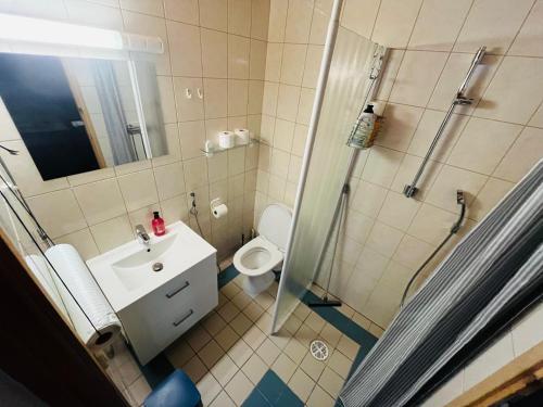 a bathroom with a shower and a toilet and a sink at The Zen Den Rokua in Utajärvi