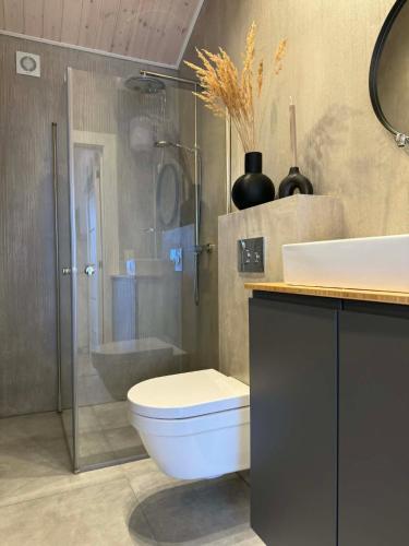 a bathroom with a toilet and a sink and a shower at Navi Jūra House13 in Palanga