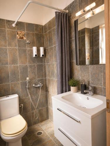 a bathroom with a toilet and a sink and a shower at Calypso Private Estate in Xiropigado