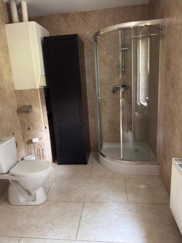 a bathroom with a glass shower and a toilet at Apartament przy Koniu Trojańskim in Luboń